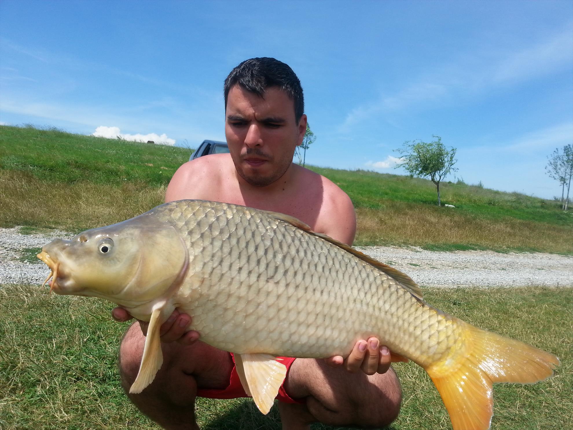 Moara Vlasiei 2 15 - 16 iulie 2014 - 20140716142558.jpg